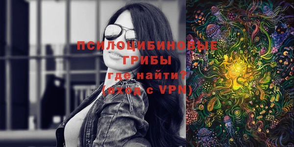 прущий лед Алексин
